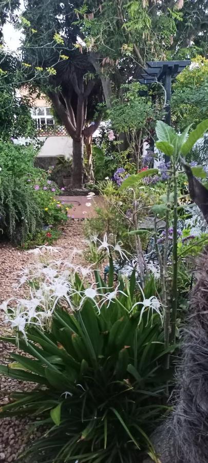 Casa Flora Garden Studio Sauzal Exterior photo